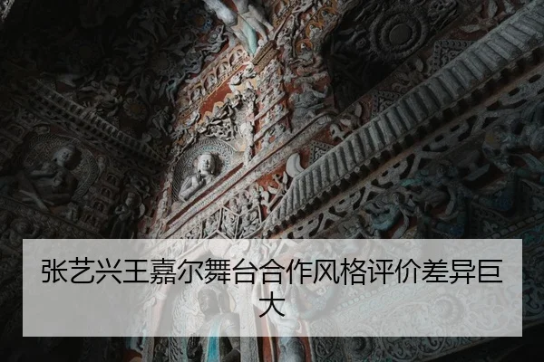 张艺兴王嘉尔舞台合作风格评价差异巨大