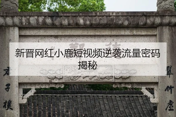 新晋网红小鹿短视频逆袭流量密码揭秘