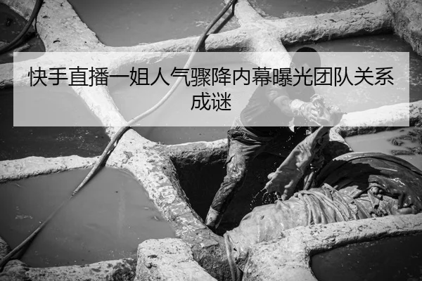快手直播一姐人气骤降内幕曝光团队关系成谜